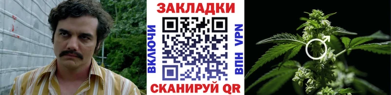 Наркошоп Назрань Кокаин  МЕТАДОН  Конопля  A-PVP 