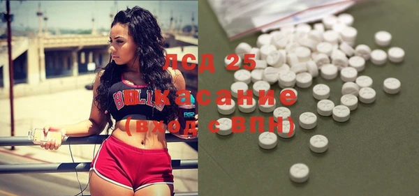 шишки Абинск