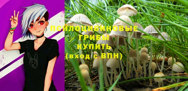 прущая мука Алзамай