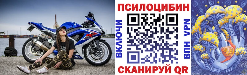 Псилоцибиновые грибы Psilocybe  Назрань 